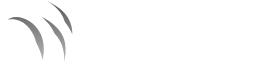 文拓网络
